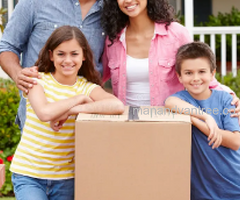 Professional Man & Van – Removals & Packing in Brighton & Hove